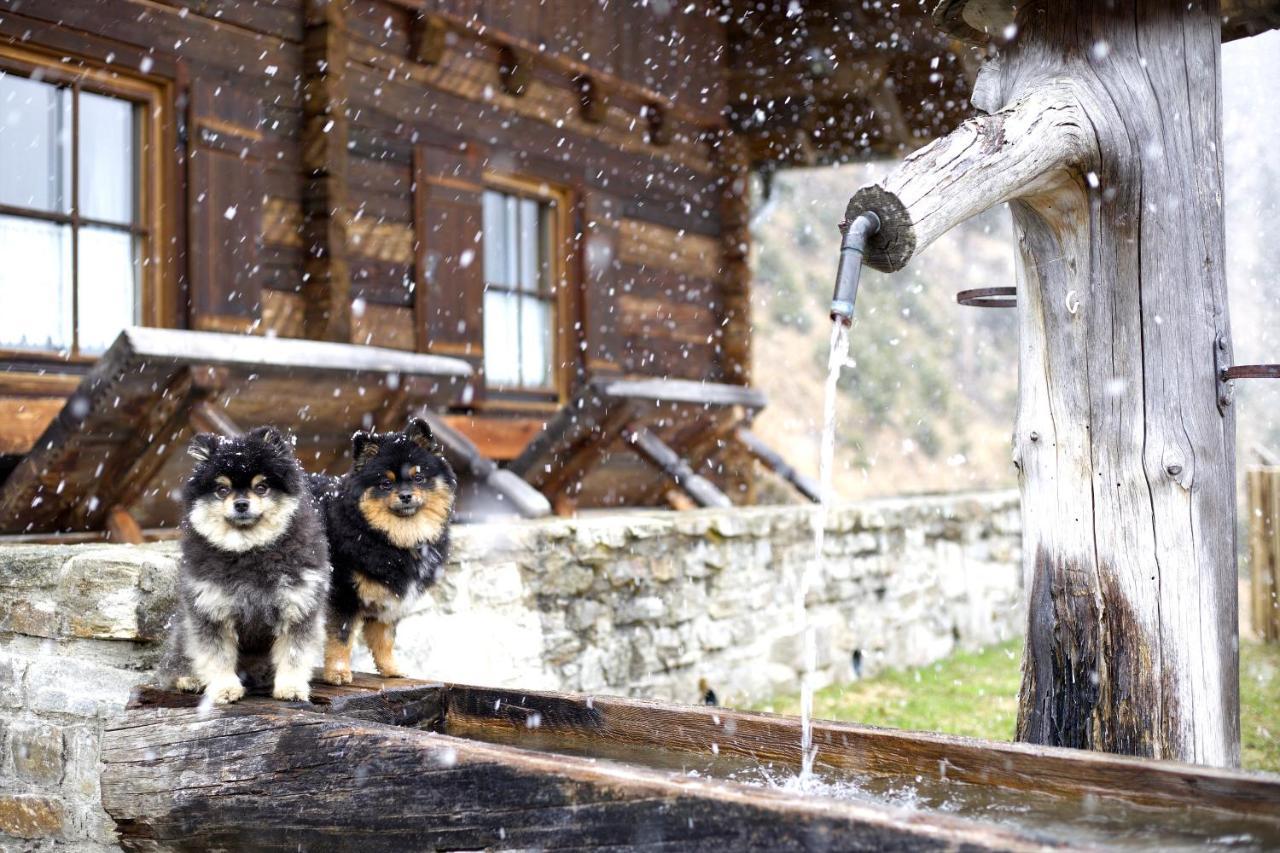 Siegel Almhuette Villa Zederhaus Dış mekan fotoğraf