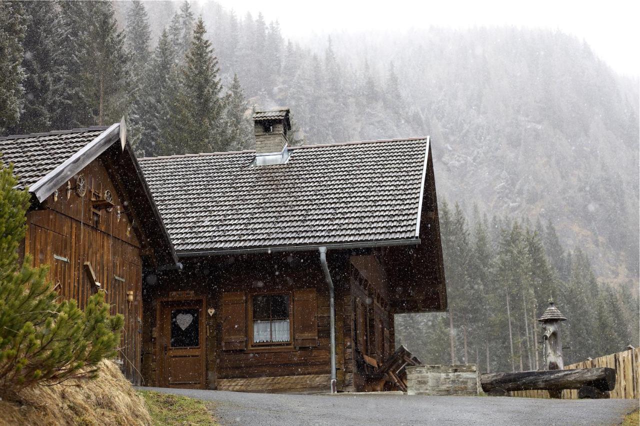 Siegel Almhuette Villa Zederhaus Dış mekan fotoğraf