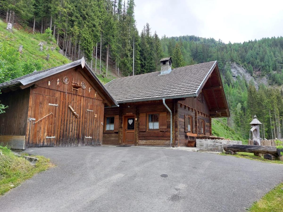 Siegel Almhuette Villa Zederhaus Dış mekan fotoğraf