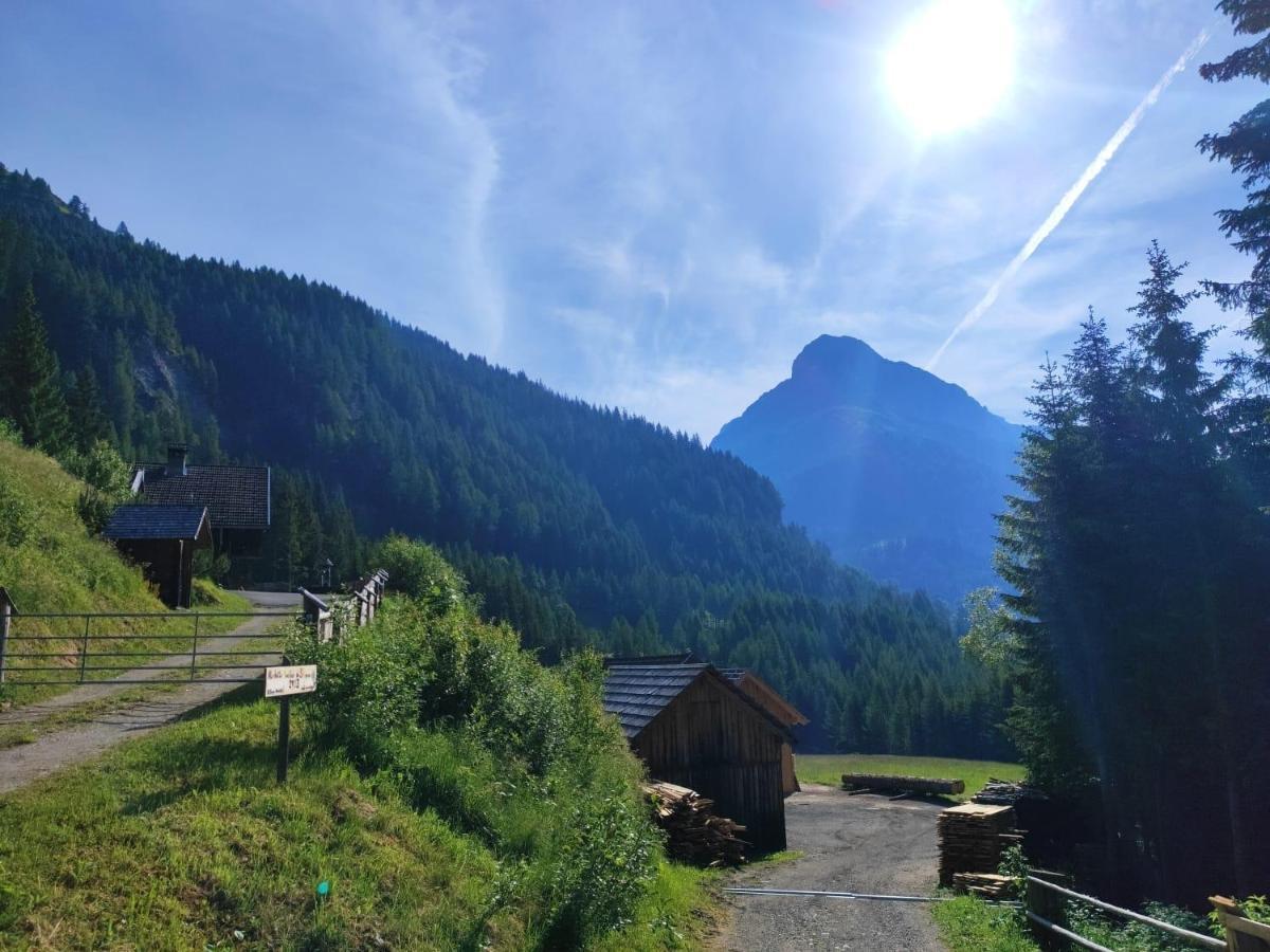 Siegel Almhuette Villa Zederhaus Dış mekan fotoğraf
